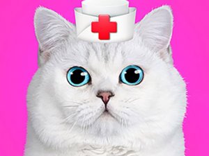 Cat Pet Doctor Dentist - Online Vet Game