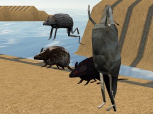 Mouse Race Islands Online Game