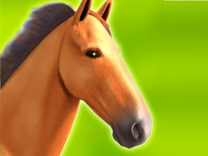 Horse Run 3D Online Game
