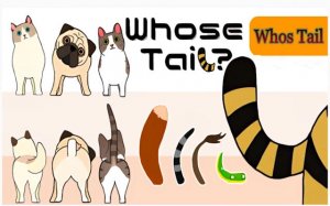Whose Tail? Animal Matching Puzzle Game Online