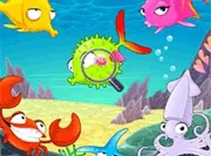 Underwater Marine Life Search